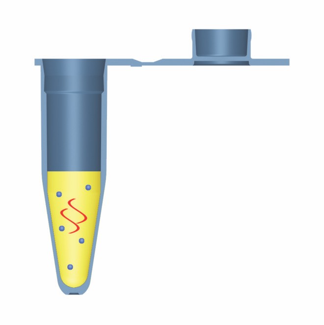 bioplastics